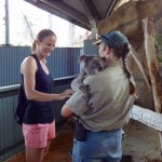 Heiki ist glücklich... endlich einen Koala gestreichelt :-)