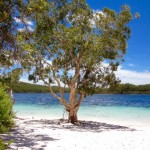 Fraser Island Paradise