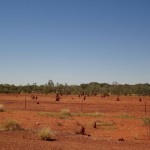 Outback - das muessten Termitenhuegel sein