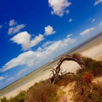 South Australia - Coorong National Park