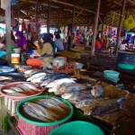 Fischmarkt - nur dieser Geruch :-(