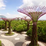 Singapore - Avatarbäume