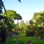 Singapore - Botanischer Garten