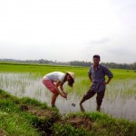 Hoi An - Heiki die neue Reisbäuerin :-)