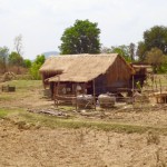 Battambang - Kambodscha Haus