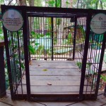 Luang  Prabang - Kaum zu glauben hier werden die Bären eingesperrt und das alles für Bärengalle :-(