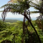 Mount Alexander lookout