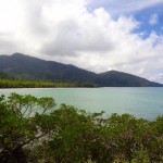 Daintree Nationalpark Cape Tribulation