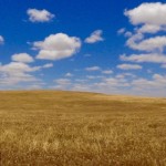 South Australia - Schäfchenwolekne :-)