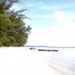 Turtel Beach