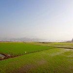 Easy Rider Tour - immer wieder Reisanbau
