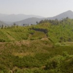 Traumhafte Landschaft unterwegs