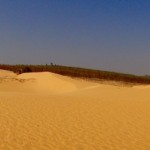 Rote Sanddünen in der Nähe von Mui Ne - Schön anzusehen